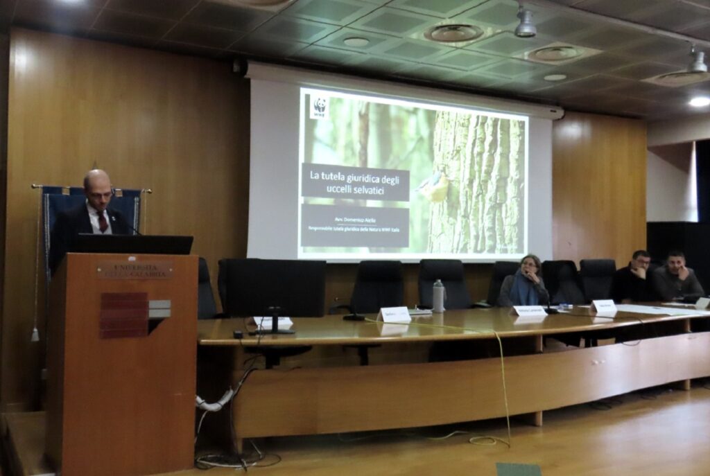 conferenza nazionale di ornitologia a Rende