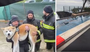 danni maltempo catania