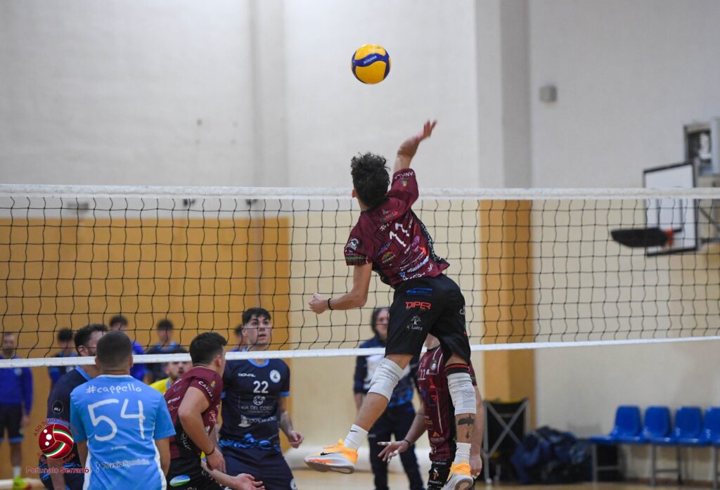 dhelios reggio calabria volley