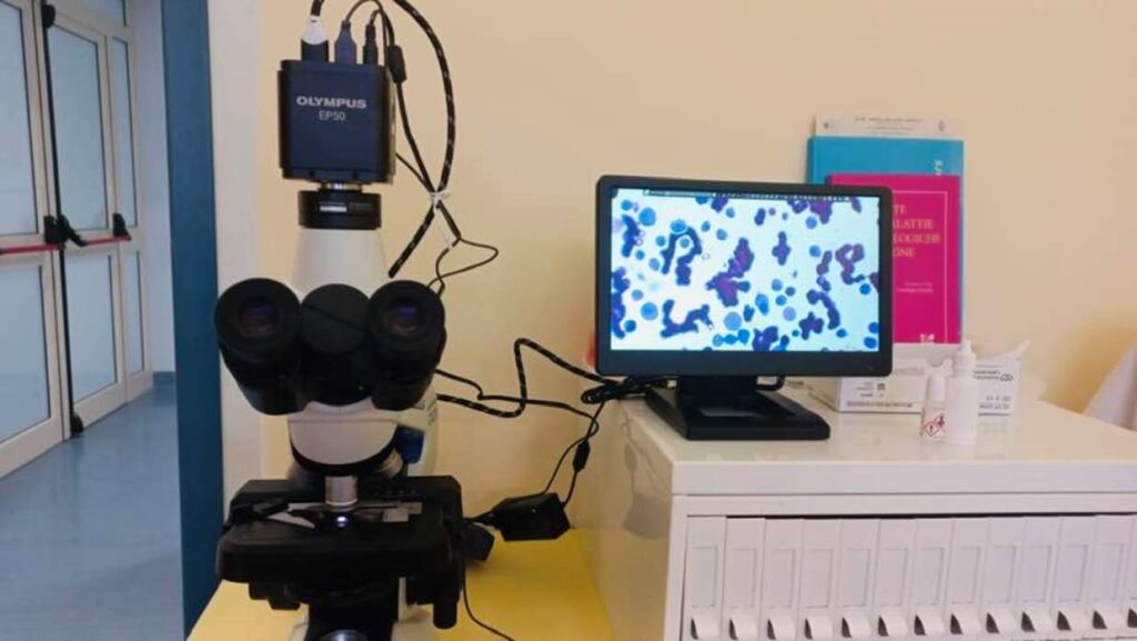donato microscopio al gom