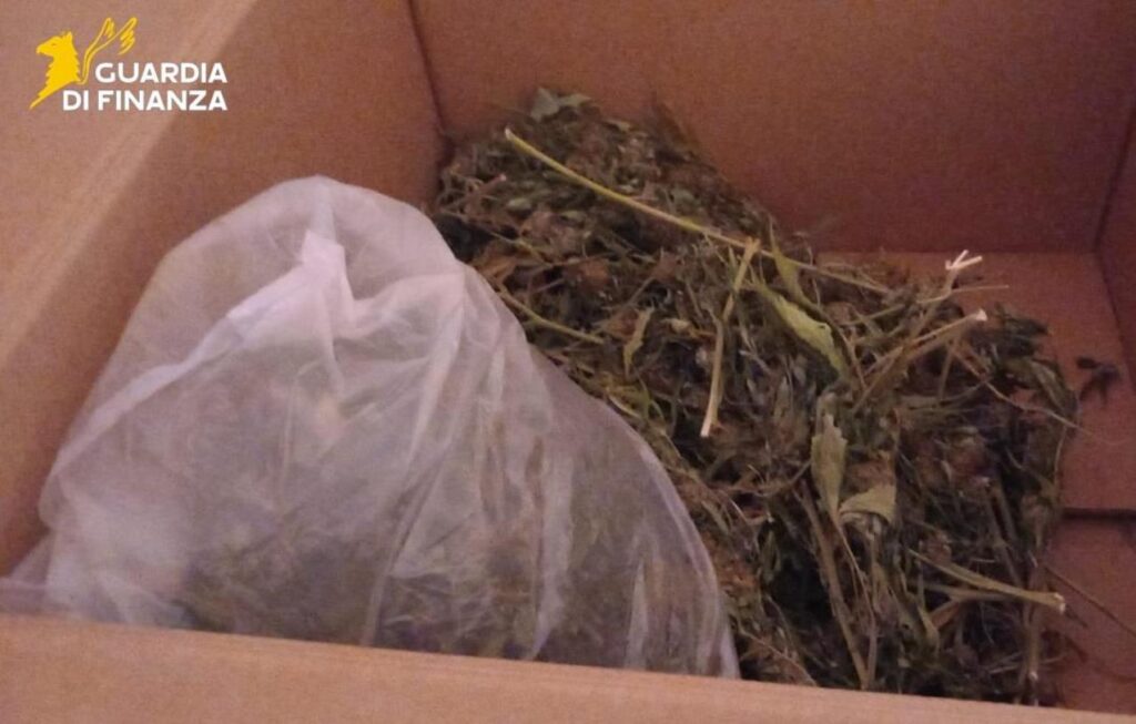 droga cosenza