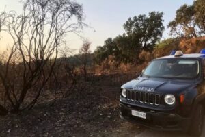 incendio sterpaglie carabinieri