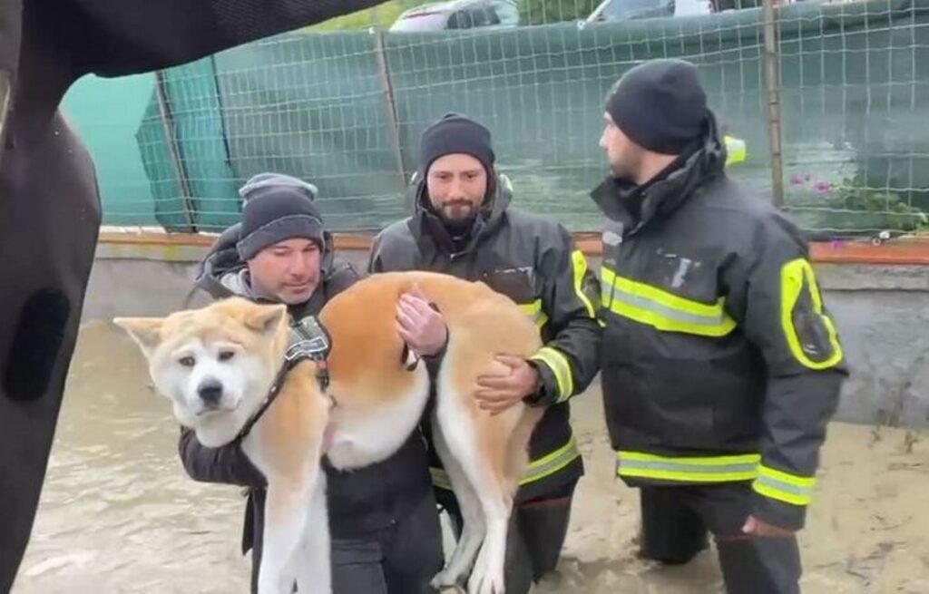 maltempo catania e messina