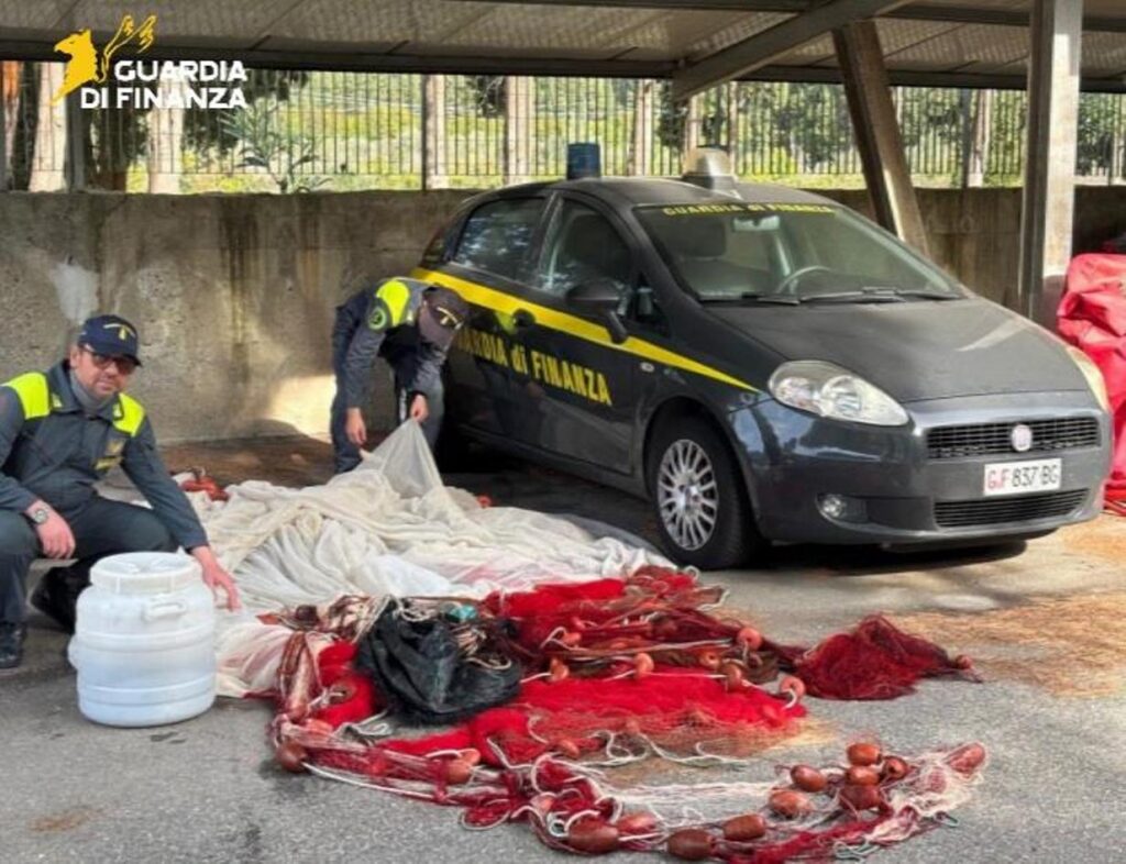novellame di sarda