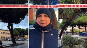 ripepi rischio crollo albero viale calabria