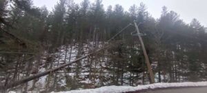 Alberi abbattuti maltempo Sila