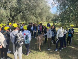 Coldiretti ragazzi in uliveto