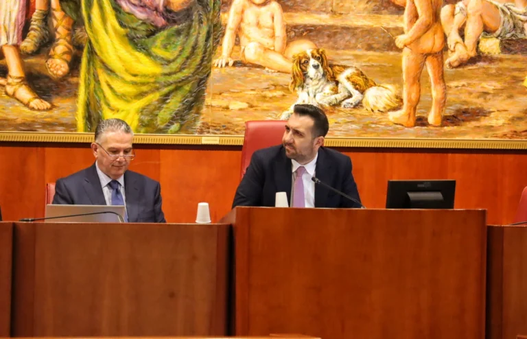 Consiglio Regionale Calabria 24 febbraio 2026 Cirillo