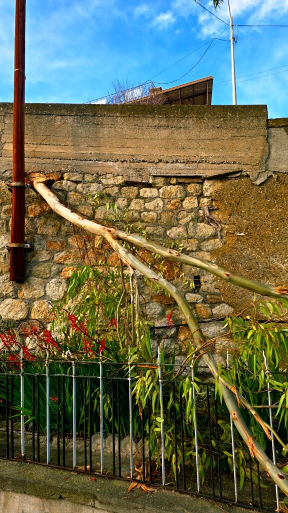 Denuncia don Zampaglione eternit a Masella e tronco caduto a Montebello
