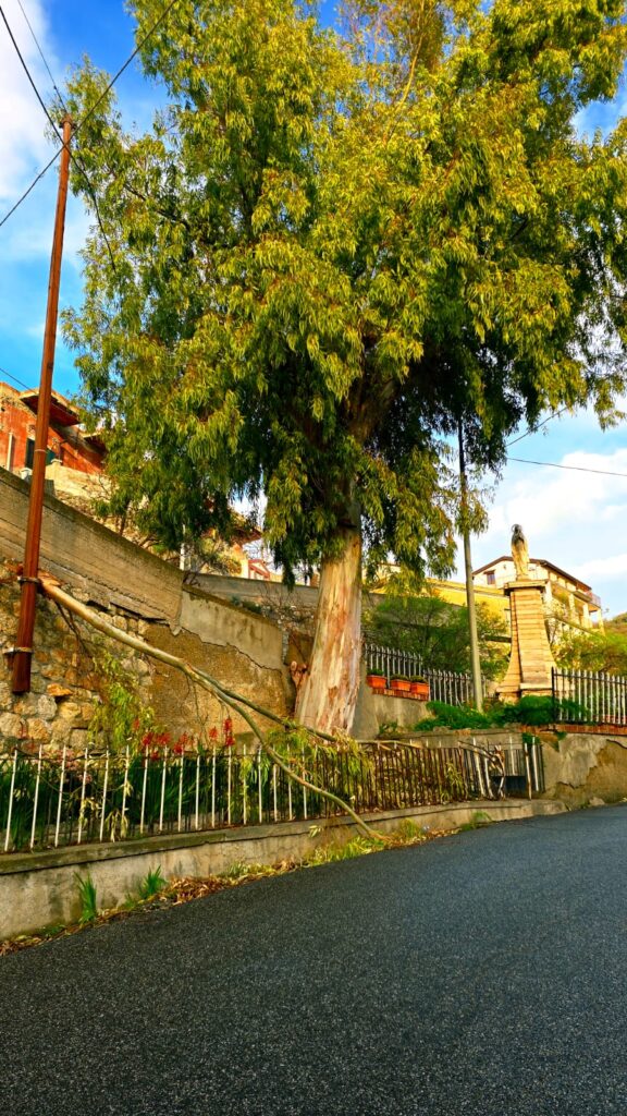 Denuncia don Zampaglione eternit a Masella e tronco caduto a Montebello