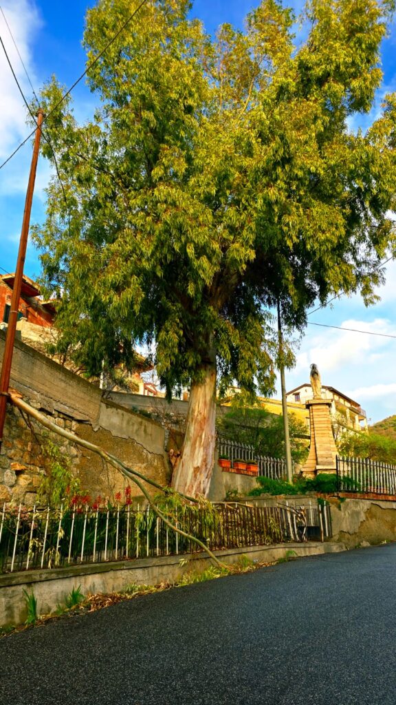 Denuncia don Zampaglione eternit a Masella e tronco caduto a Montebello