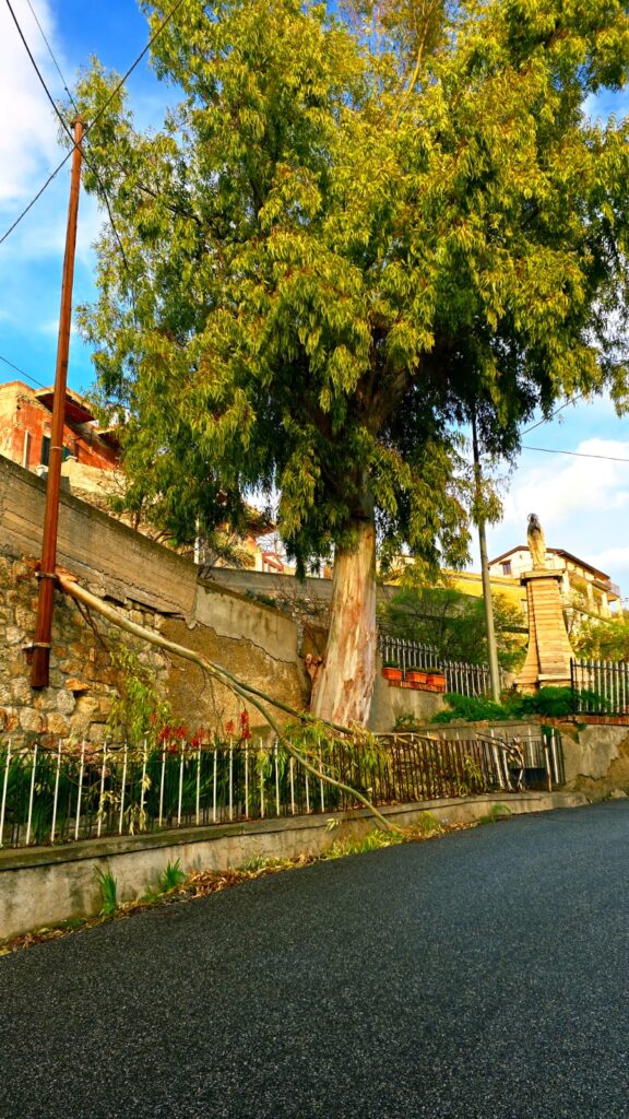 Denuncia don Zampaglione eternit a Masella e tronco caduto a Montebello