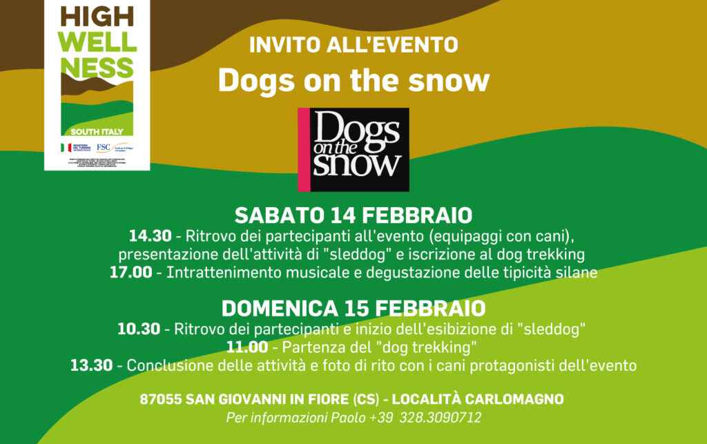 Dog on the Snow