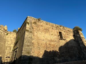 Forte gonzaga