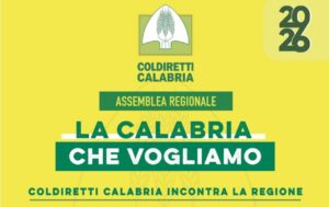 La Calabria che vogliamo