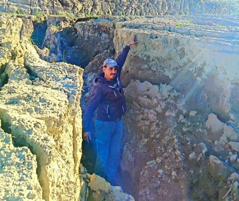 Maltempo Calabria, il Ciclone Nils flagella l’agricoltura: campi allagati e aziende isolate