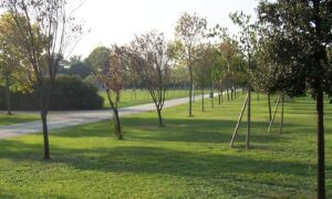 Parco urbano palermo