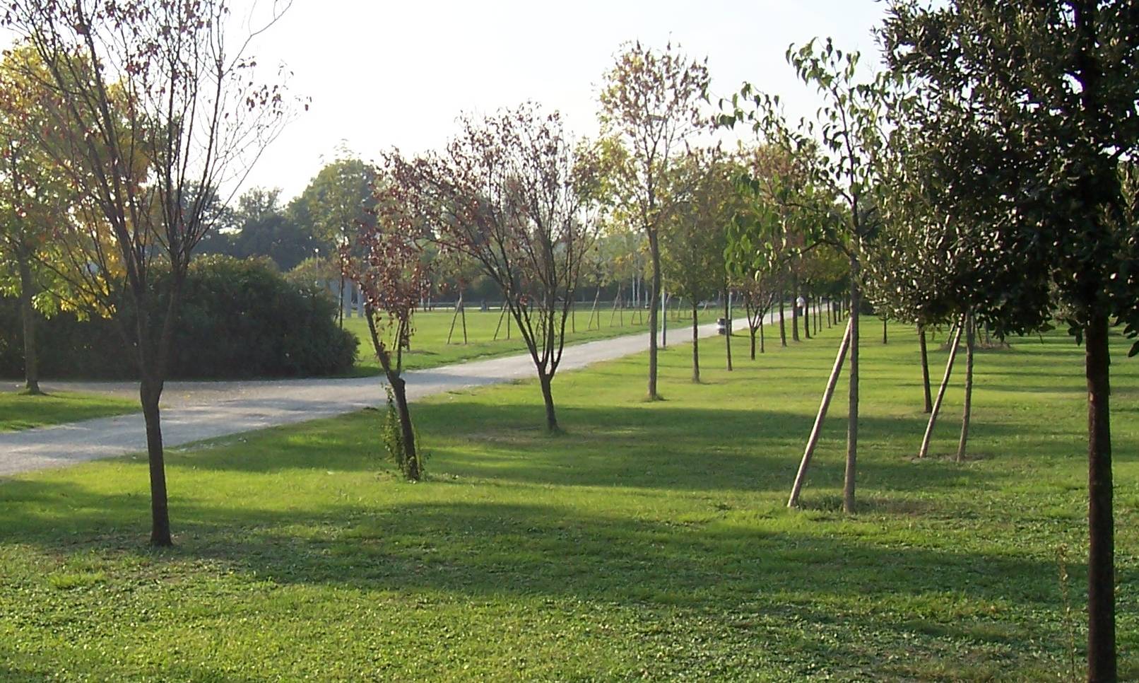 Parco urbano palermo