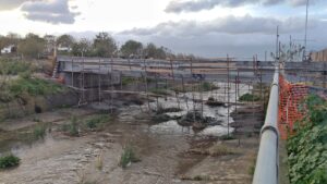 Ponte calopinace