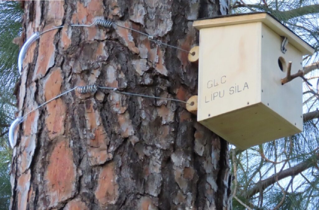 Progetto “Biodiversità Sila”