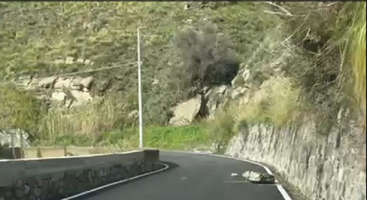 Strada cardeto