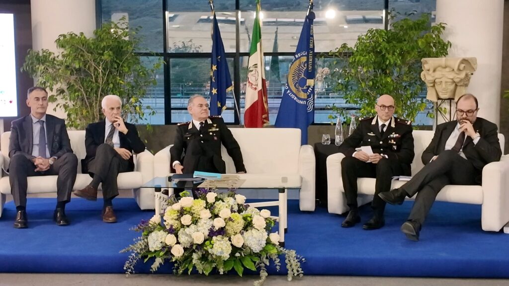 Università Mediterranea approfondimento Prima Campagna d'Italia Napoleone