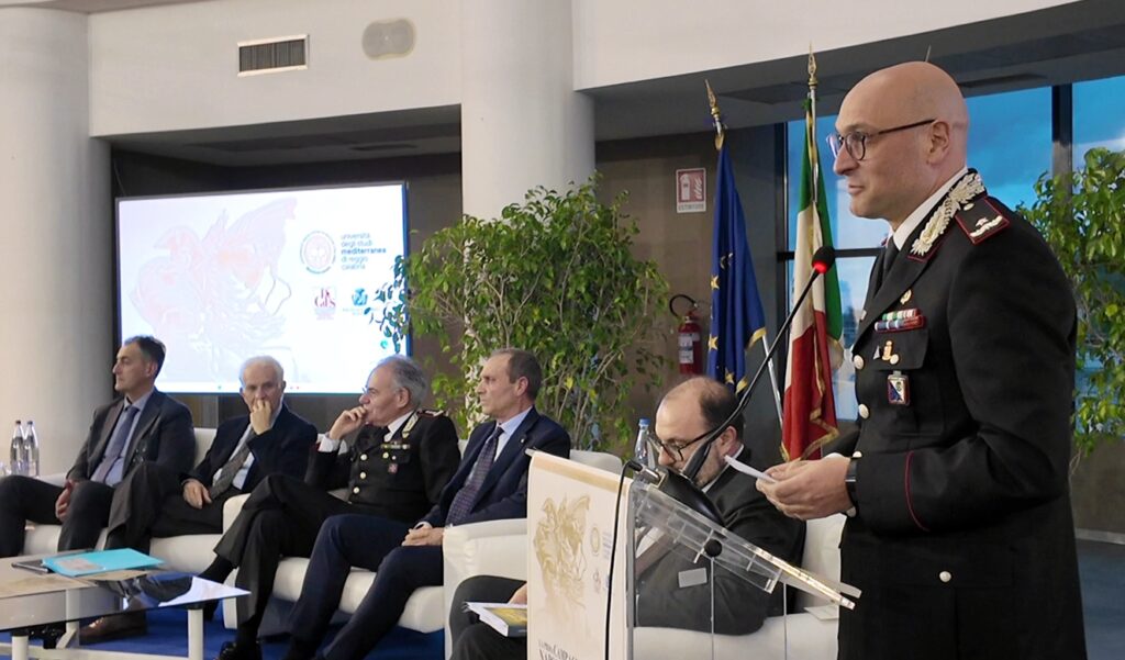 Università Mediterranea approfondimento Prima Campagna d'Italia Napoleone