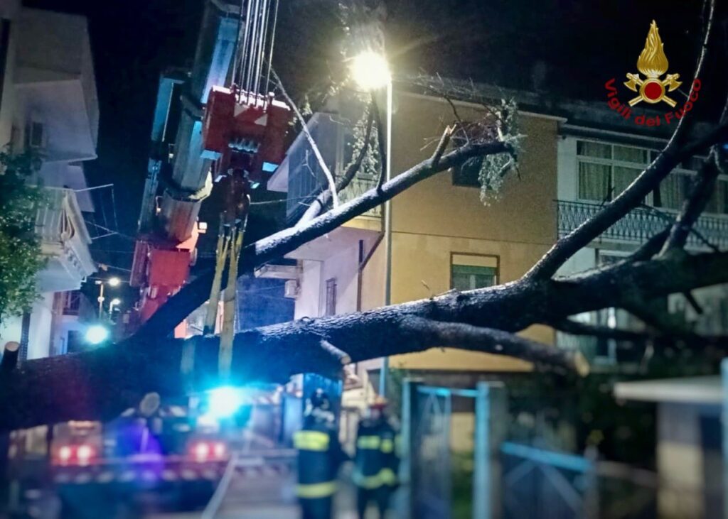 Vigili Fuoco Messina