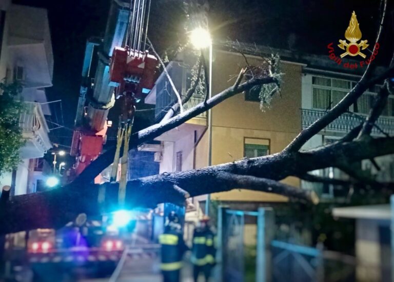 Vigili Fuoco Messina