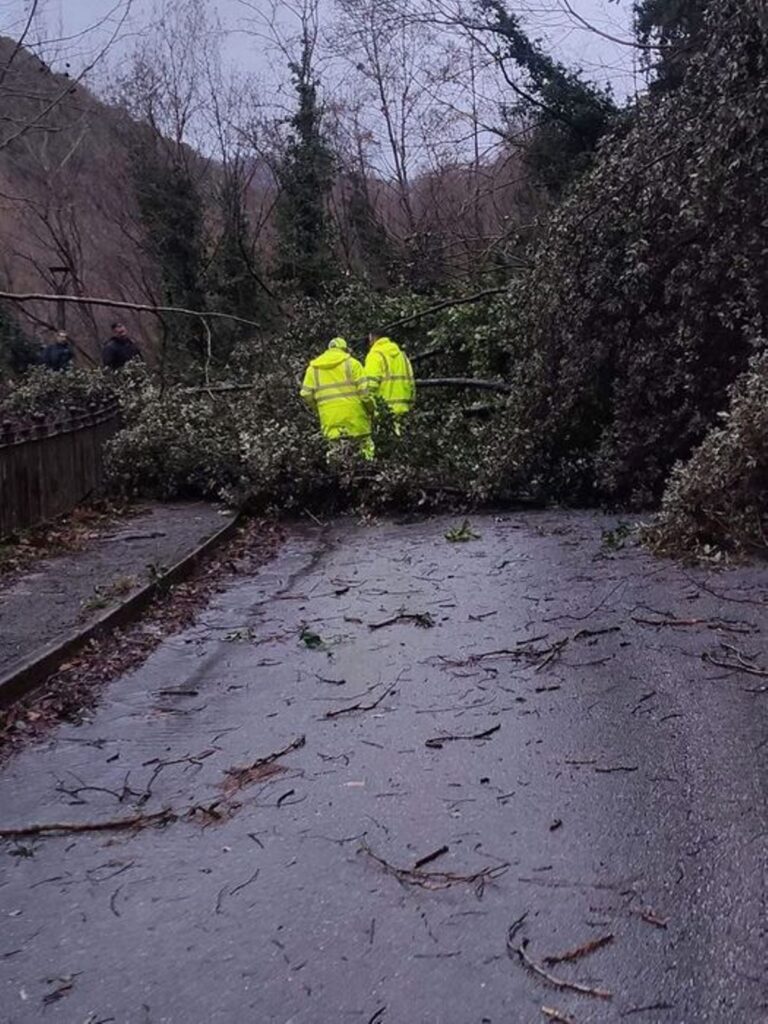 alberi caduti lamezia terme
