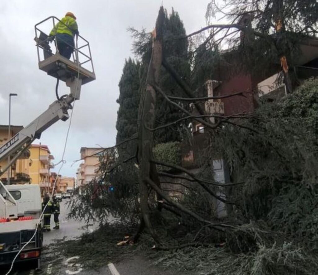 alberi caduti lamezia terme