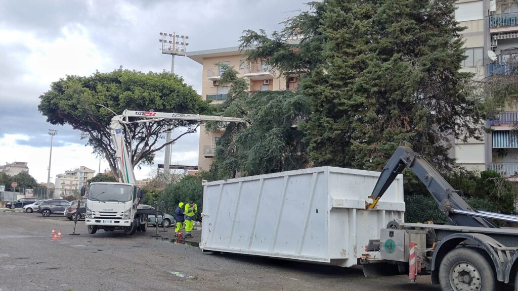 alberi caduti reggio calabria