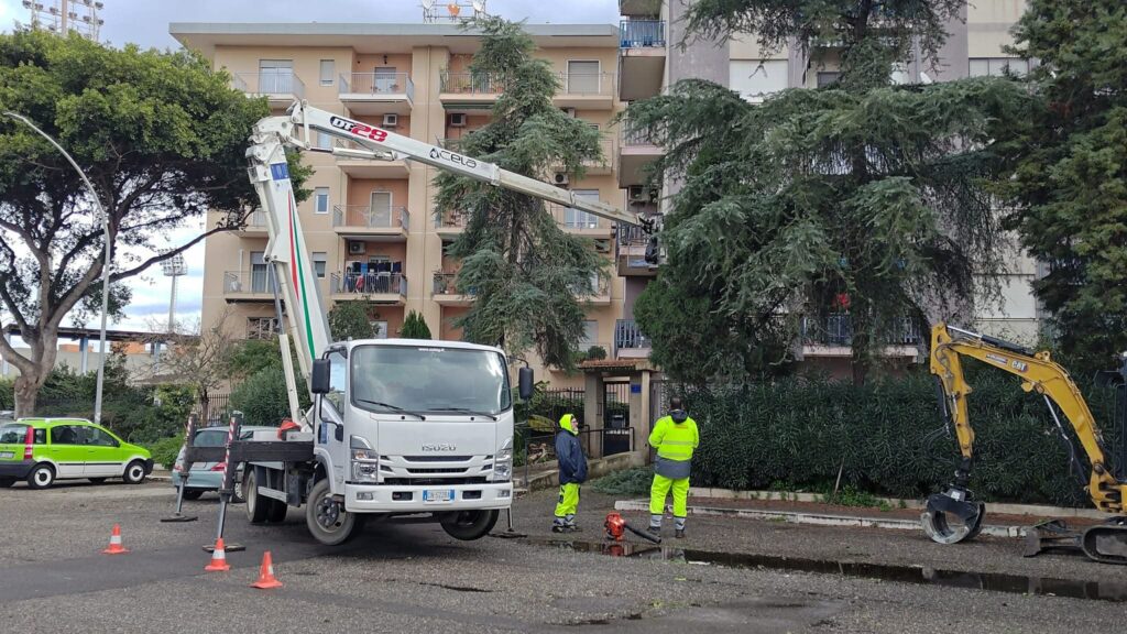 alberi caduti reggio calabria