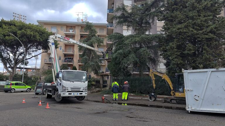 alberi caduti reggio calabria