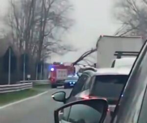 albero cade nella piana
