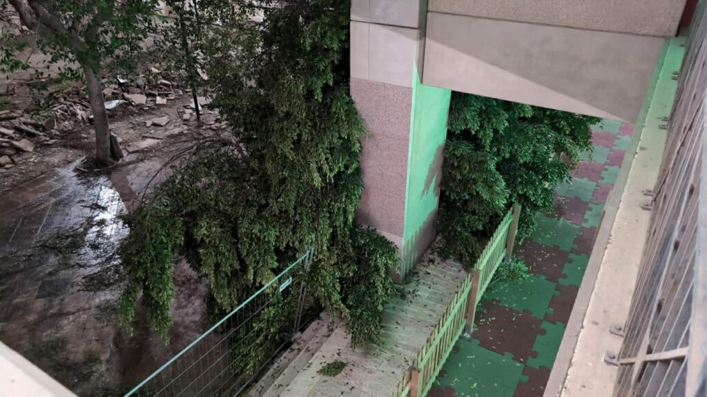 albero crollato al cedir