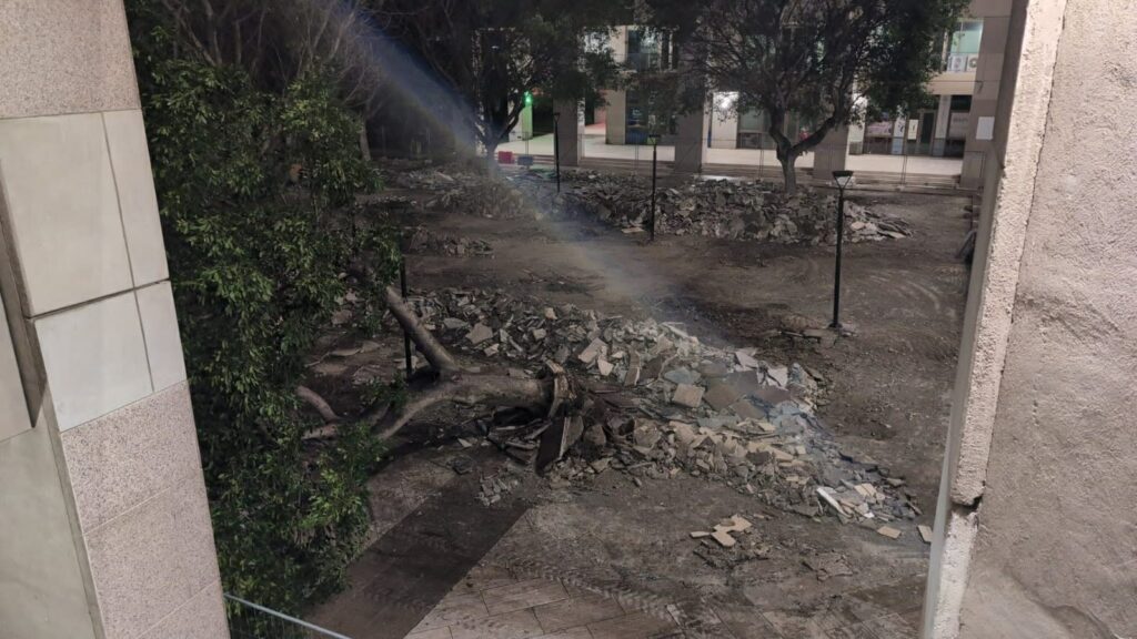 albero crollato al cedir