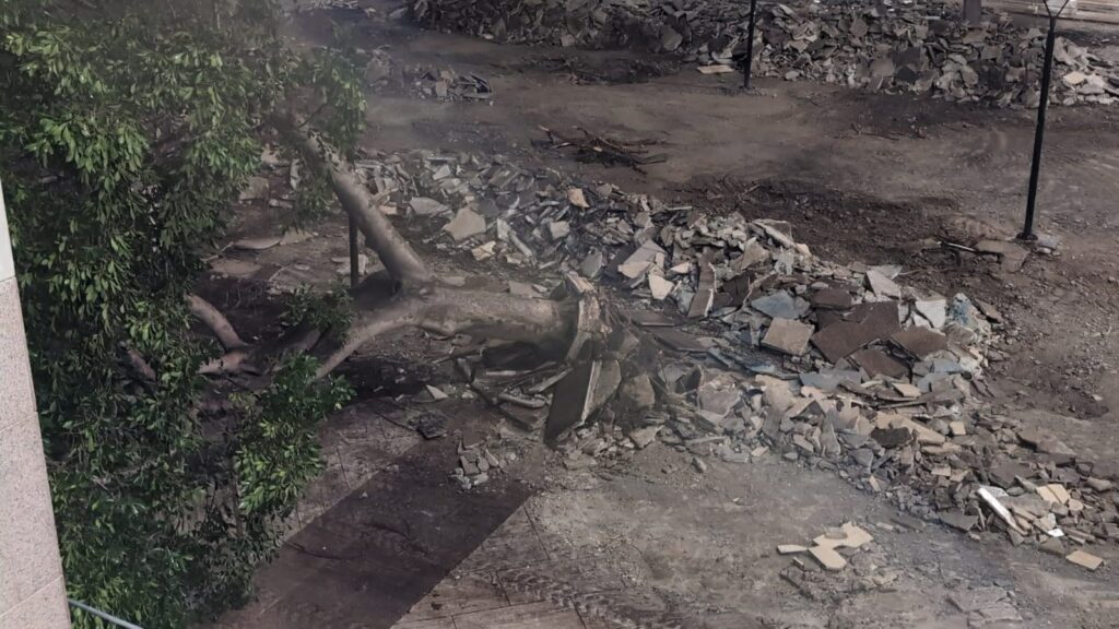 albero crollato al cedir