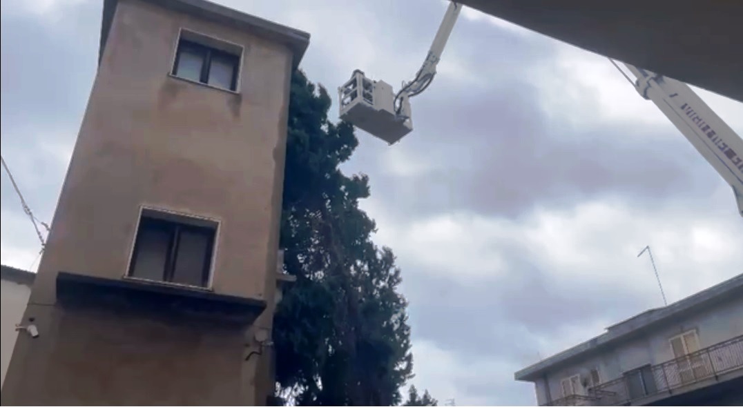albero inclinato a melito porto salvo