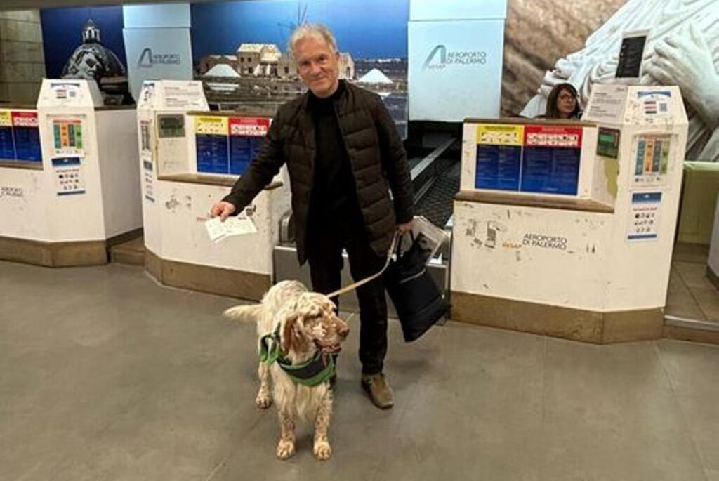 cani aereo