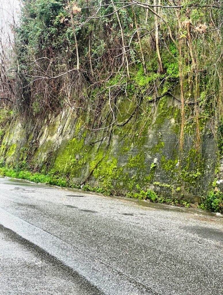 strada di cannavó