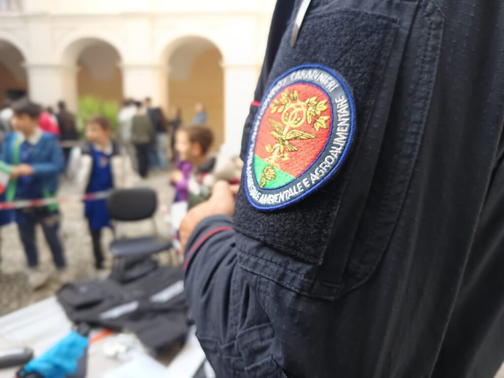 carabinieri forestali resoconto