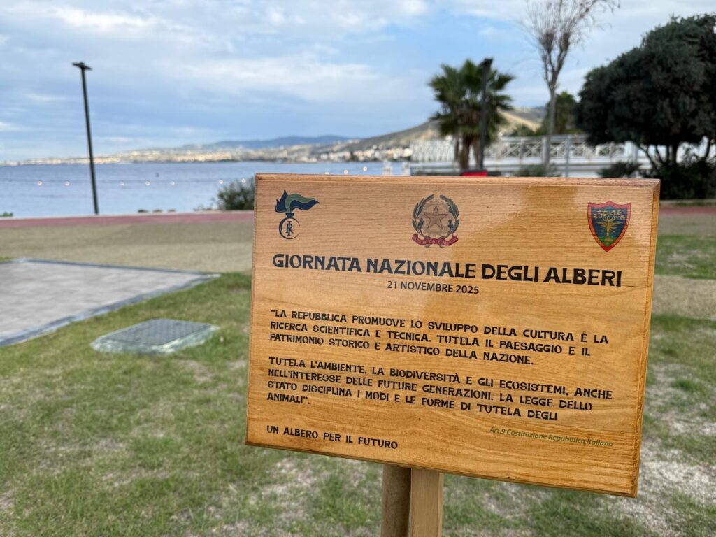 carabinieri forestali resoconto