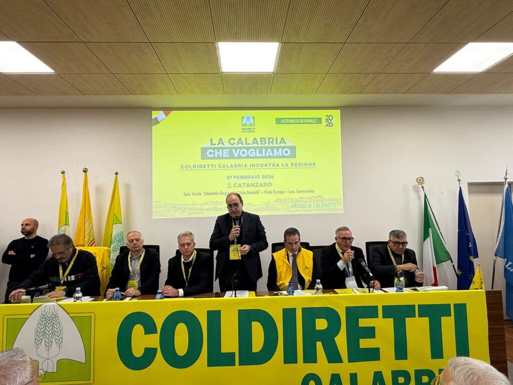 Cosentini, Iiritano, Gallo, Aceto, Occhiuto, Siviglia, Giovinazzo