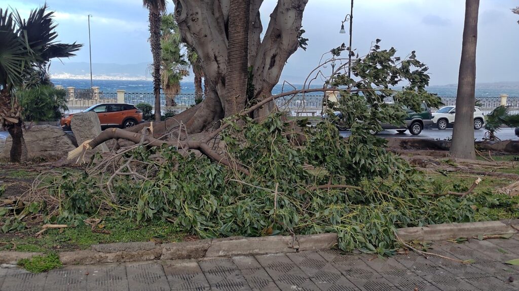 danni maltempo reggio calabria