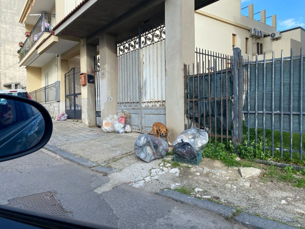 degrado e rifiuti