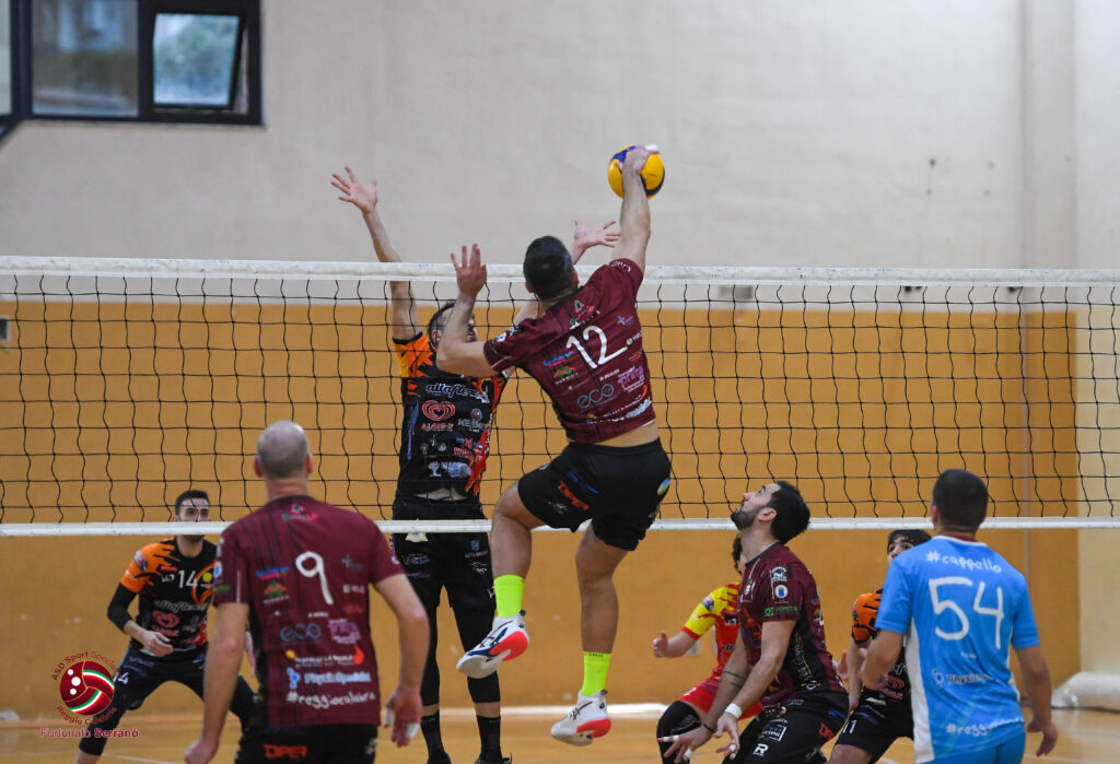 dhelios volley