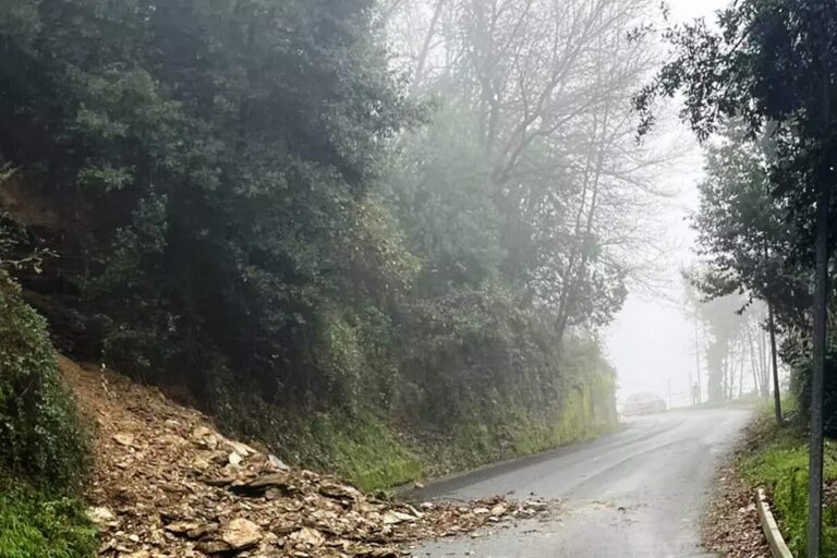 frana maierà
