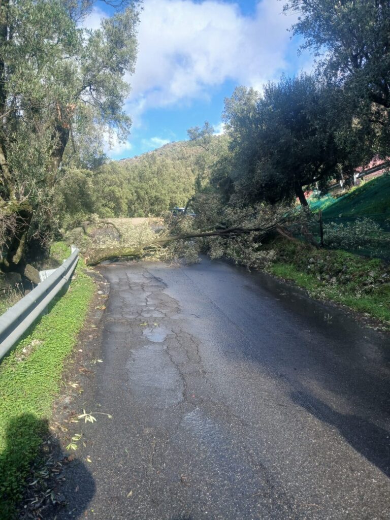 frane area grecanica