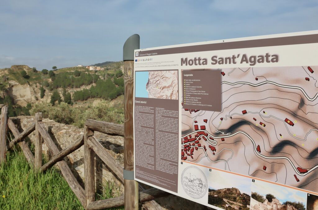 funghi motta sant'agata